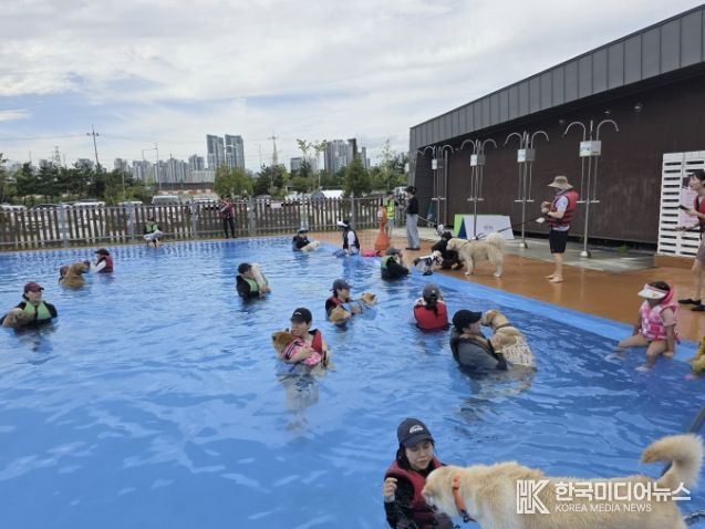 시흥시 월곶에코피아 수영장에서 반려동물 수영 문화교실 ‘멍푸멍푸’가 열리고 있다.