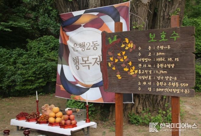 성남시 중원구 은행나무 보호수 아래에서 마을의 안녕과 번영을 기원하는 행목제 준비 중