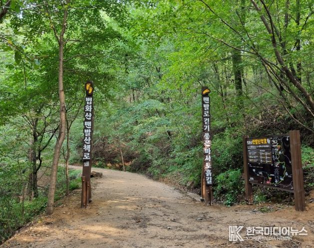 용인특례시가 기흥구 마북동 법화산에 맨발 산책로를 조성했다