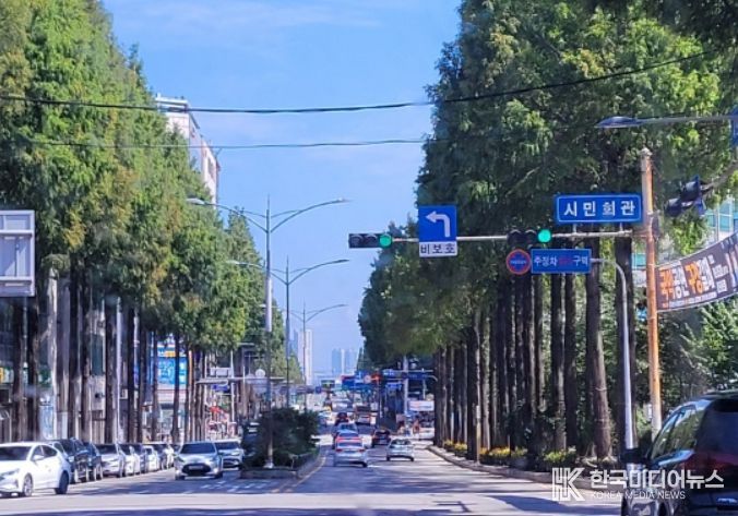 가로수 생육·보행 환경 정비