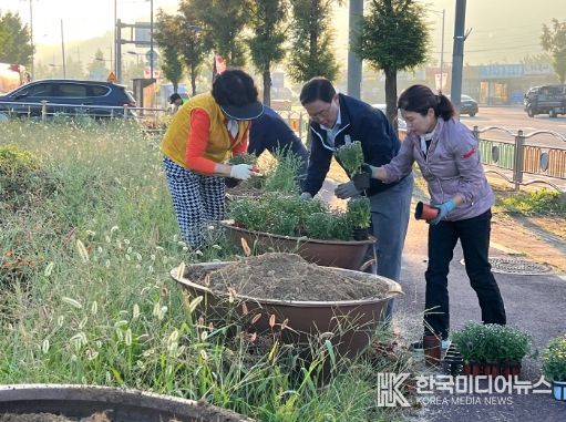 양주1동 주민자치위원회, 가을 맞이 국화꽃 식재