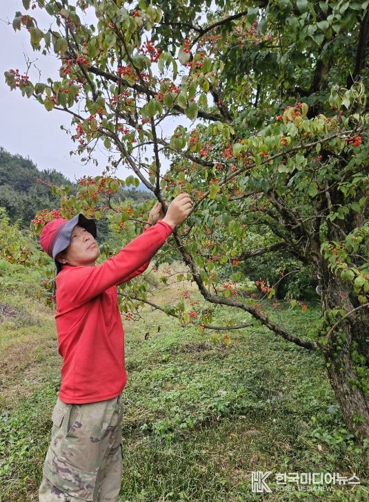 이달의 임업인 정조명 대표