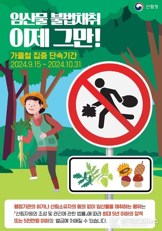 순천시, 가을철 산림 내 임산물 불법 채취 단속