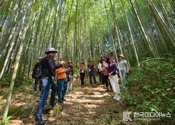 강진 임(林)과 함께 3일 살기 체험활동 모습.