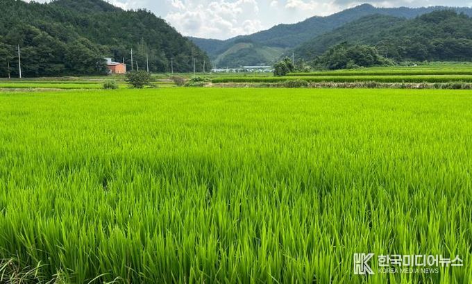 친환경농업직불금