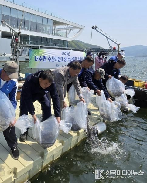 가평군, 북한강에 뱀장어 1만7천여마리 방류