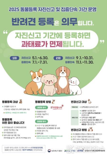 가평군, 동물등록 자진신고 기간 운영… '과태료 면제'
