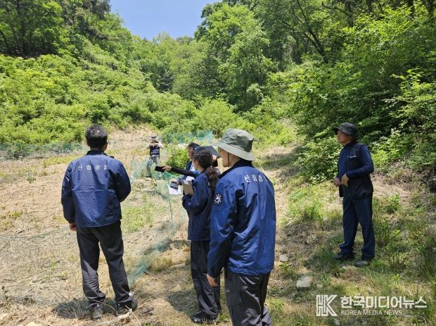 산림내 불법행위 합동단속 모습