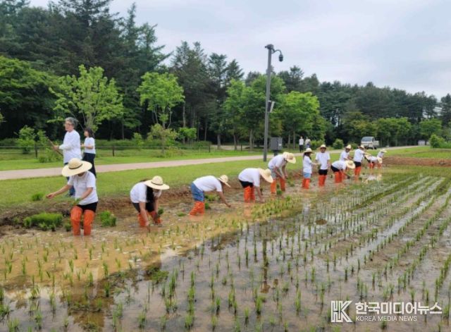 2024년 모내기 행사 (2024년 5월 25일)