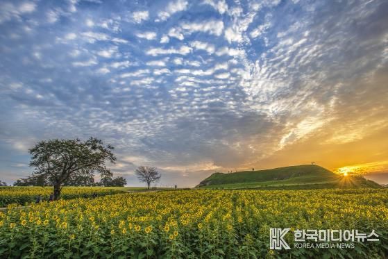 연천군, 제10회 연천장남 통일바라기 축제 11일 개막