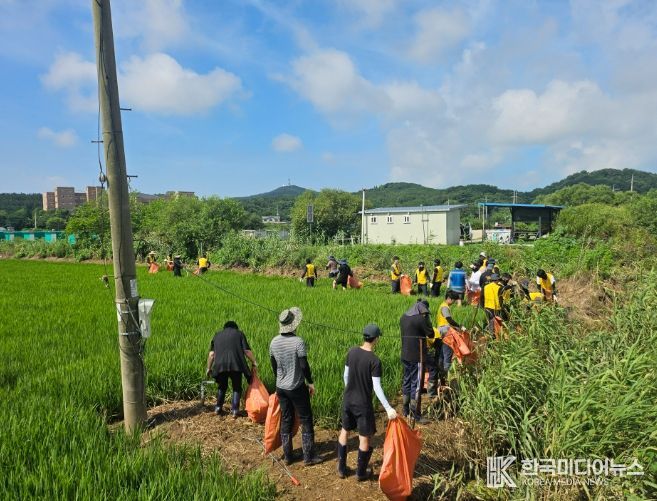 폭우 피해 농경지 및 장경리 해수욕장 정비 실시