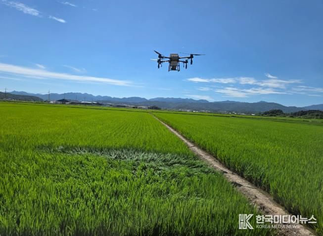 정읍시농업기술센터 “벼 출수기 병해충 예찰·방제 철저히” 당부