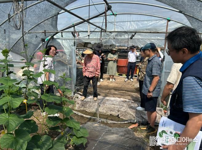 진딧물해충방제기술실증평가