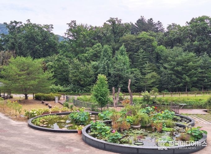 습지식물 특별전