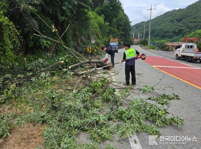 도로환경정비사진-화양읍 다로리(위해수목 제거)