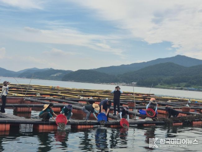 양식어류긴급방류