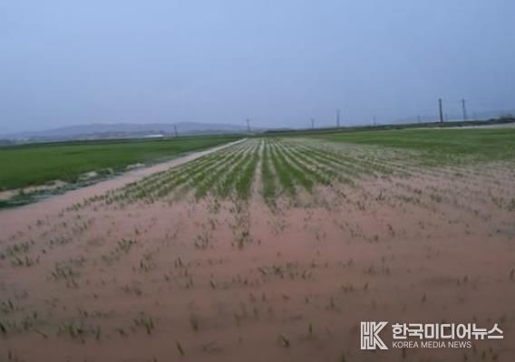 곡성군 집중호우 피해지역 벼 병해충 방제비 지원