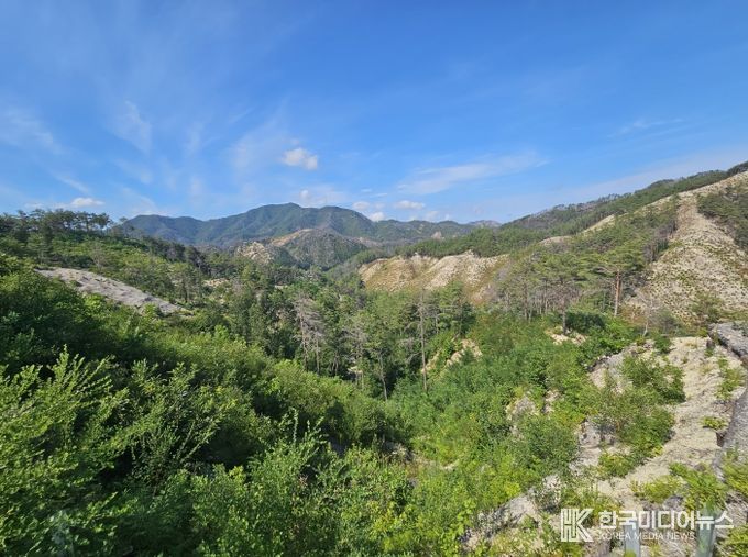 산불피해지 중 생태복원 중인 국립울진생태숲지정대상지