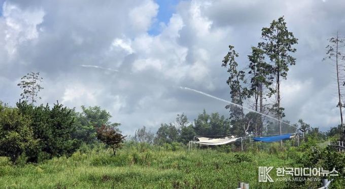 정읍시, 가뭄에도 끄떡없는 ‘사료작물 안전재배 단지’ 조성