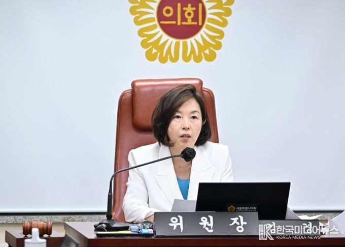 서울시의회 김경 문화체육관광위원장