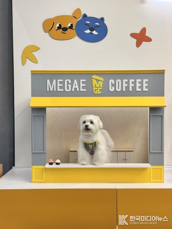 포천시 반려동물 웰컴센터, 포토존 리뉴얼 통해 반려가족 힐링 공간으로 재탄생