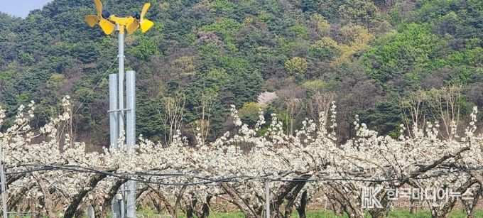 이천시, ‘2026년 지역전략작목 육성’ 공모사업 선정