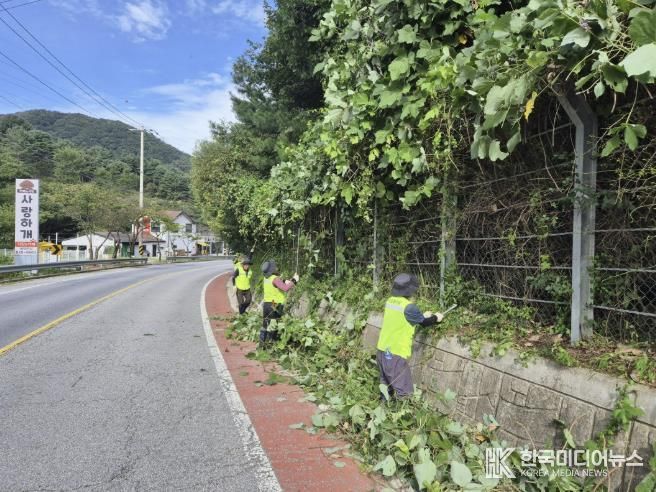 동두천시, 추석맞이 자연발생유원지 제초 작업 실시