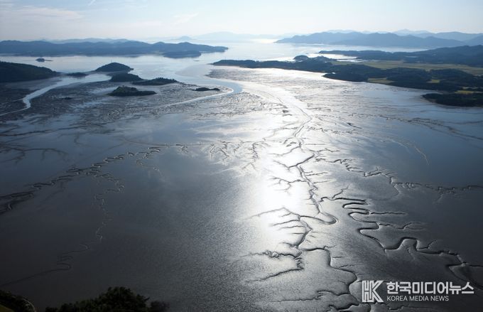 전남 보성군은 9월 20일 오전 11시 10분, 장양어촌체험마을 특설무대에서 유네스코 세계자연유산 보성벌교갯벌의 깃대종으로 ‘알락꼬리마도요’를 선포한다._보성벌교갯벌 사진