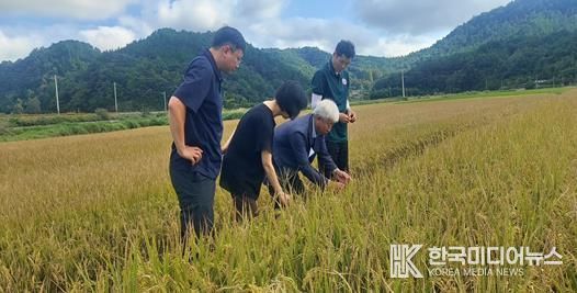 박형대 의원(진보당ㆍ장흥1)이 15일 장흥읍 연산리 벼 재배 현장을 찾아 깨씨무늬병 피해 상황을 점검하고 있다.