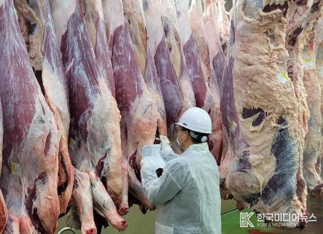 도축·축산물 검사 사진