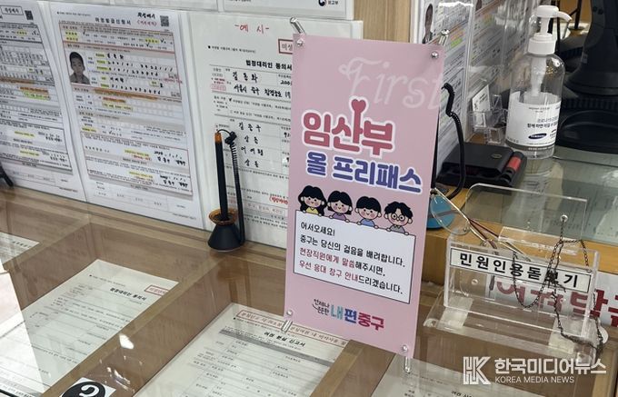 임산부 올 프리패스