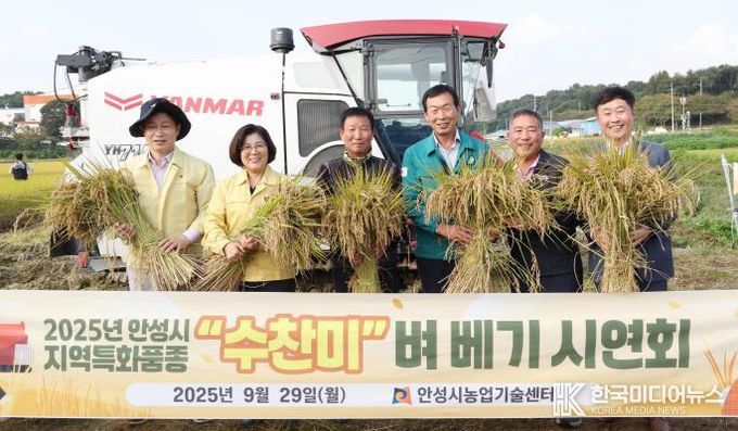 안성시농업기술센터, 지역특화품종 ‘수찬미’ 벼 베기 행사 개최