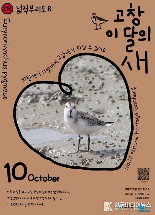 고창군, ‘넓적부리도요’ 10월 고창갯벌 이달의 새로 선정