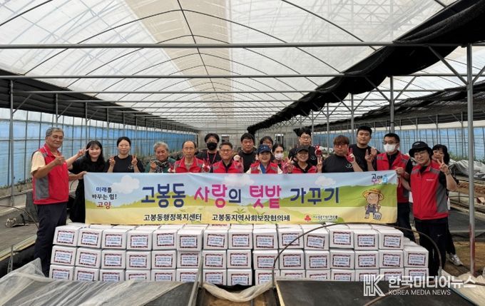 고양시 고봉동 지역사회보장협의체, 고구마 수확·나눔 행사…이웃사랑 실천