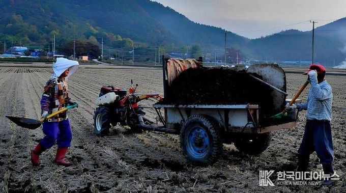 퇴비 살포 사진