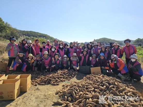 생활개선회와 ‘사랑의 고구마’나눔으로 온정