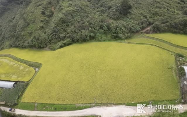경기도 남양주시 조안면 시우리 222-3번지 일원에 있는 「구리시 관외 농지 활용 벼농사 체험장」 전경