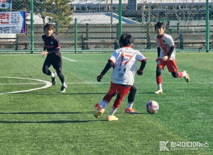 동계 전지훈련팀 유치 총력