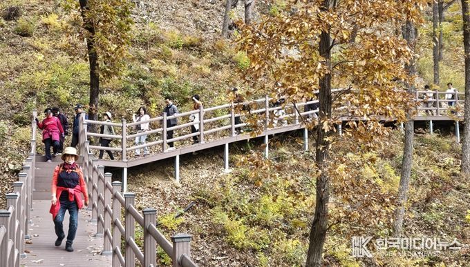 보은군, 단풍길 따라 힐링걷기‘속리산 둘레길 걷기 축제’ 성황리 마무리