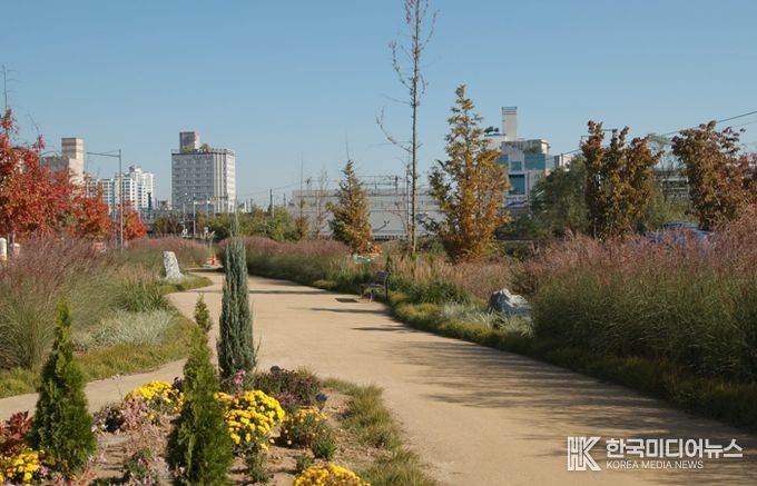 청주시 오송물결정원, 주민 손길 더해 가을정원으로 변신