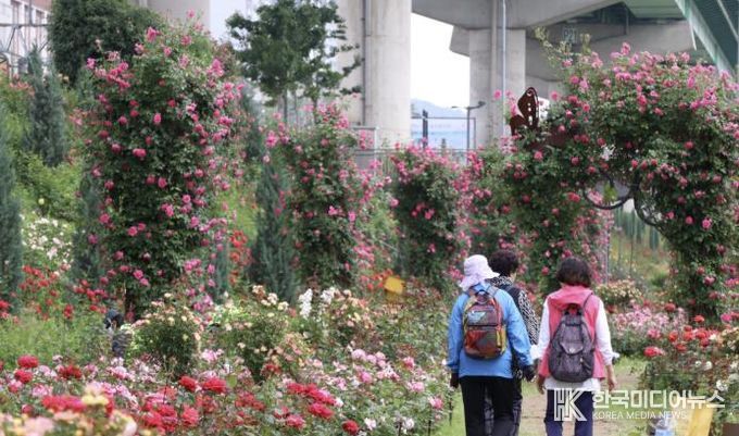 금천구 안양천 일대 전경
