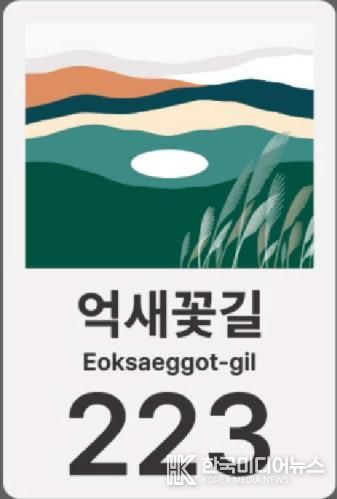 정선군, 민둥산 일원 자율형 건물번호판 설치 추진