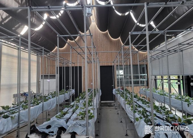 과천시, 도시농업센터 이달 17일 개소…시민이 함께 가꾸는 도심 속 농업 체험 공간