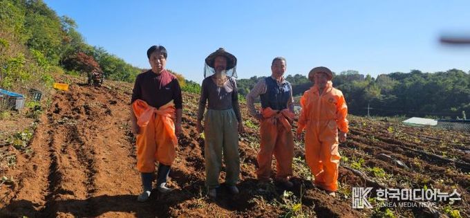 교동통장협의회, 농촌 일손 돕기 봉사