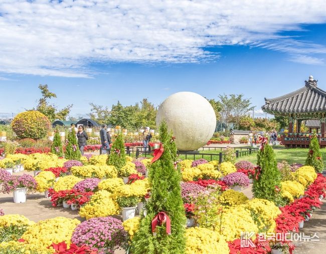 3천만 송이 가을꽃 물결 속 41만 명 발길