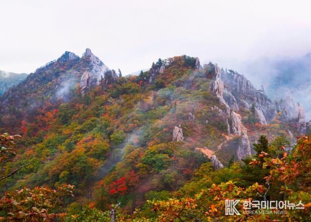 금상 어승완 공룡능선의비경(경기 군포)