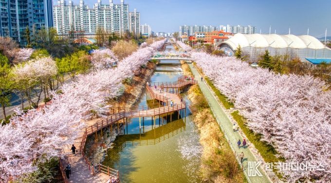 서부간선로의 봄
