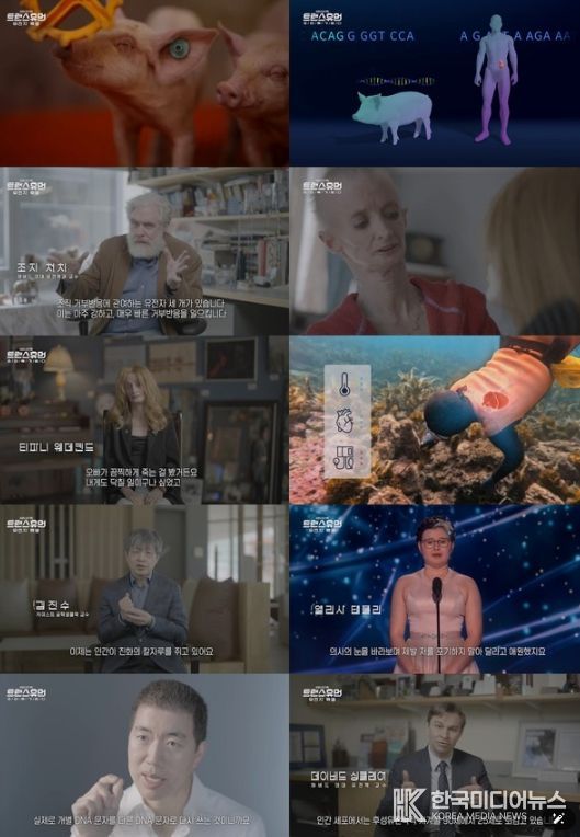 (사진 제공 = KBS 1TV ‘트랜스휴먼’)