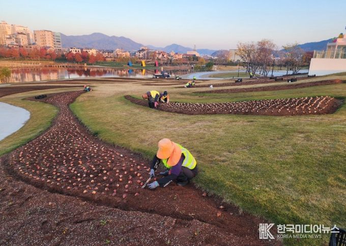 순천시 오천그린광장, 2026년 봄꽃 7만본 식재