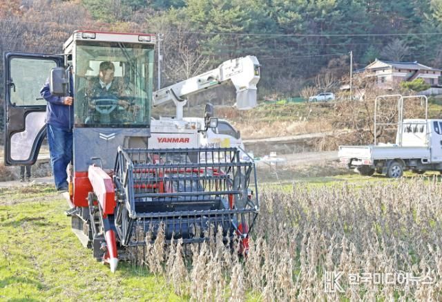 이승화 산청군수, 논콩 재배단지 현장 점검
